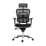 ERGO HUMAN
