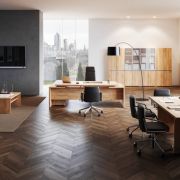 OMEGA E22 VEZETŐI IRODABÚTOROK