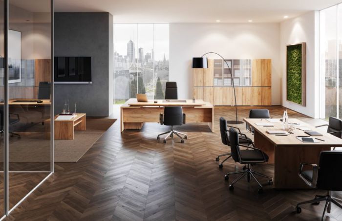 OMEGA E22 VEZETŐI IRODABÚTOROK