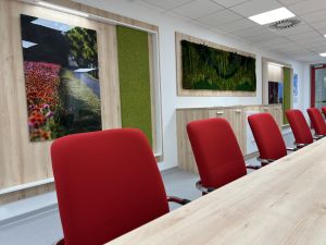 REFERENCIA – TÁRGYALÓ